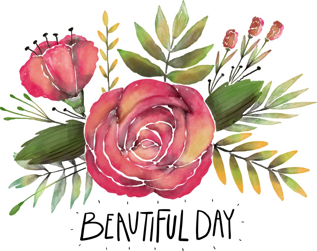 阿罗留学新西兰#6：但尼丁植物园