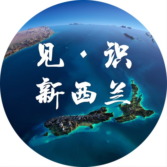 游学，才是让孩子见世面最好的方式