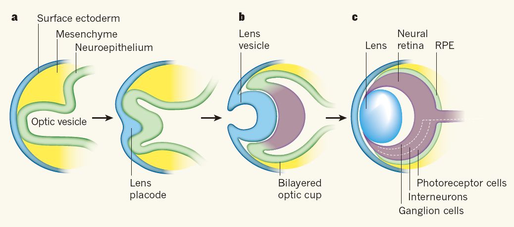 三国无双4修罗模式选图_模式图_c 工厂模式uml图