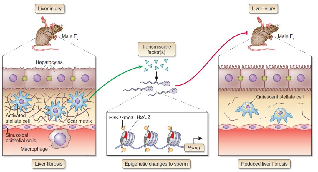 三国无双4修罗模式选图_模式图_c 工厂模式uml图