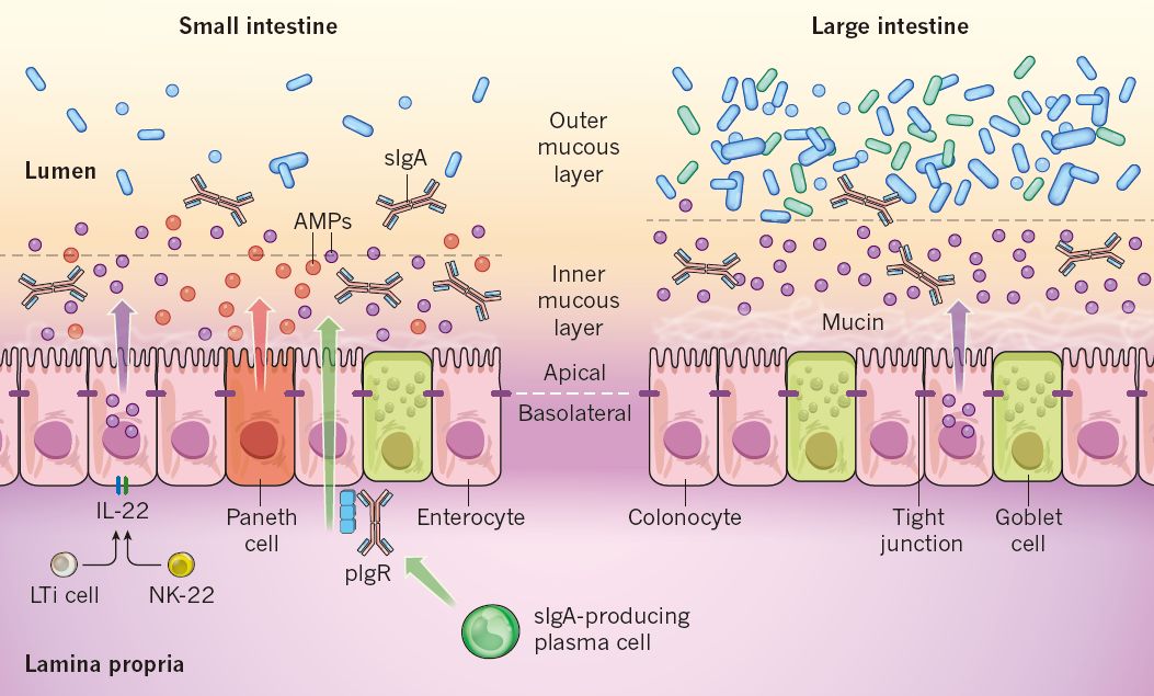 模式图_三国无双4修罗模式选图_c 工厂模式uml图