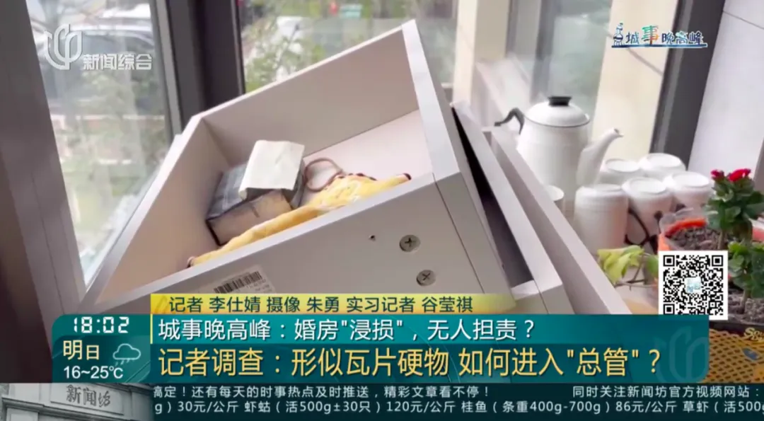 因一块“瓦片”，上海小夫妻婚房变“粪房”！保险公司：家具擦擦还能用……