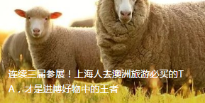 图片[17]-凡尔赛文学 - 如意-如意