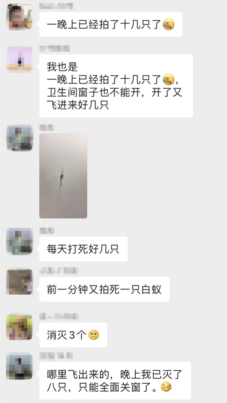 殺蟲粉能不能殺蛀木蟲_木地板殺蟲劑哪個好_天擎殺蟲煙劑