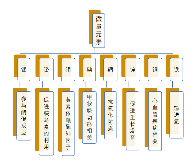 人体微量元素高中生物图片