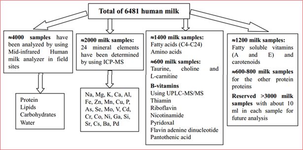 人生起跑線 教你如何贏在母乳餵養上 親子 第28張