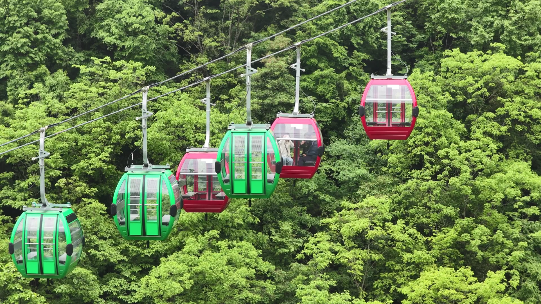 DJI_20260501110240_0[00_00_09][20260501-173245].png