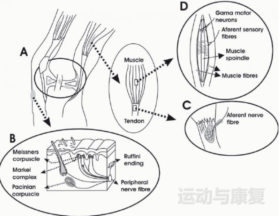 心得经验稳赚方法_心得经验怎么写_ph massage经验心得