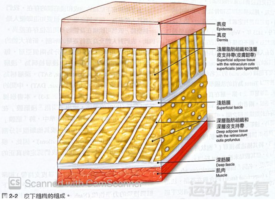 ph massage经验心得_心得经验稳赚方法_心得经验怎么写