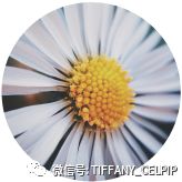 加拿大思培官方最新真题SET6发布-听力部分