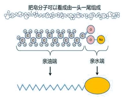 知活动 暑假 躁动的季节里 让我们制 皂 美好时光 科普知世界 微信公众号文章阅读 Wemp