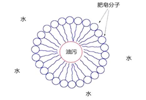 知活动 暑假 躁动的季节里 让我们制 皂 美好时光 科普知世界 微信公众号文章阅读 Wemp