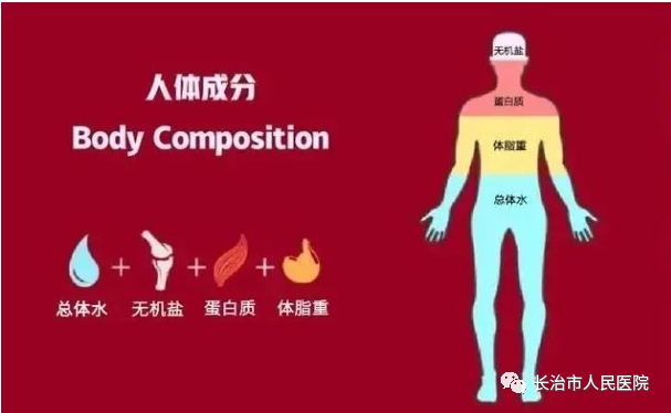 人体成分仪怎么消毒爱自己！更要了解自己！人体成分分析仪——带您全面了解自己的身体_https://www.jmylbn.com_新闻资讯_第2张