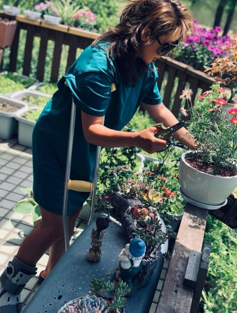 参观58岁孙悦上海的豪宅 在闹市过着农家生活 家里有种菜养花的院子