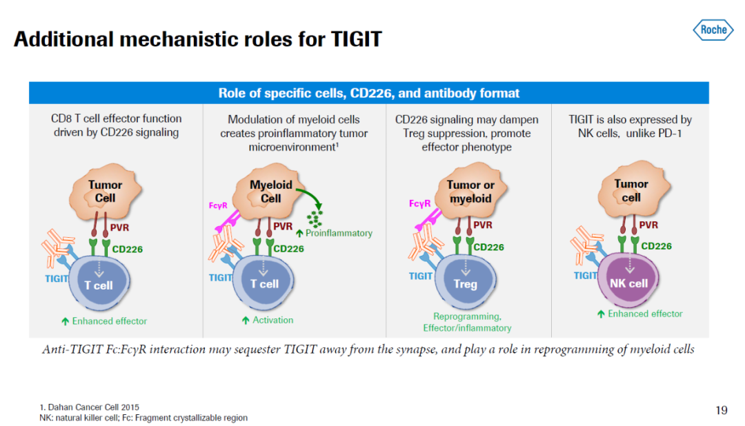 羅氏、吉祥德科學等青睞，TIGIT為何成為癌症免疫新興靶點 健康 第5張