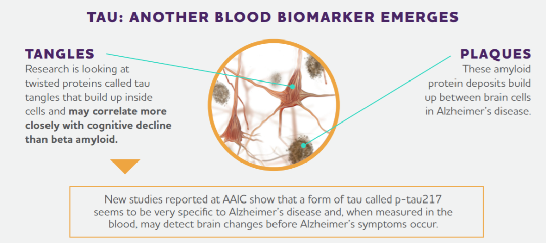 症狀出現前20年發現阿爾茨海默病！突破性血檢有望變革疾病診斷和藥物開發 健康 第5張