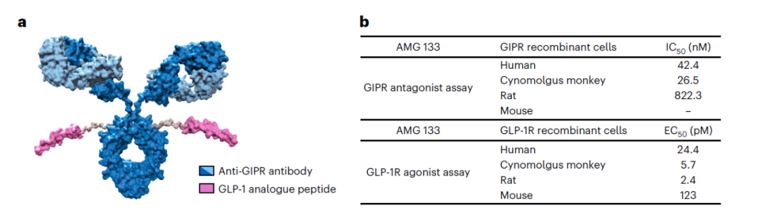 减肥药物有哪些_减肥药物哪种最有效_药物减肥