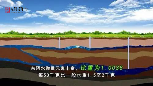 传承千年文化——阿胶起源篇 阿胶 第7张
