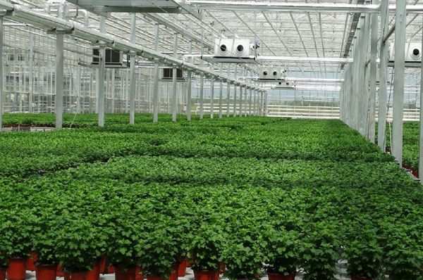 国家重大建设项目库有什么用_国家重大项目建设库_重大项目库管理办法