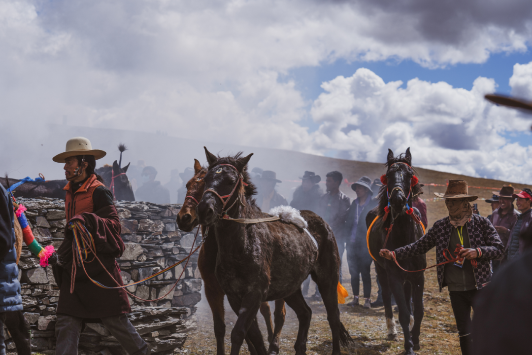春日，雪山环绕的塔公草原游牧之旅