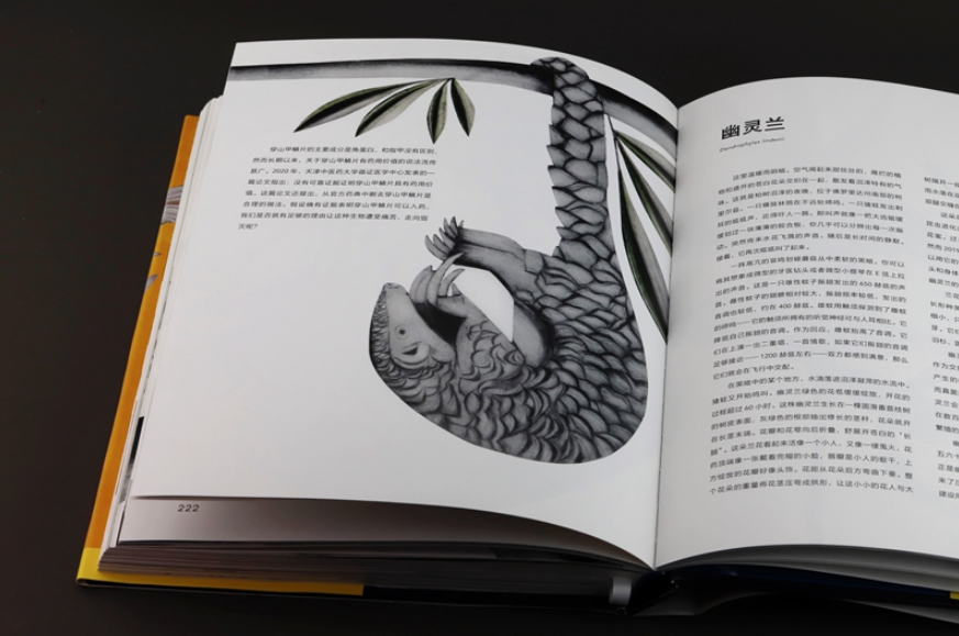 『方寸』新书速递 | 正在消失的物种：重现世界隐秘角落中的物种之美