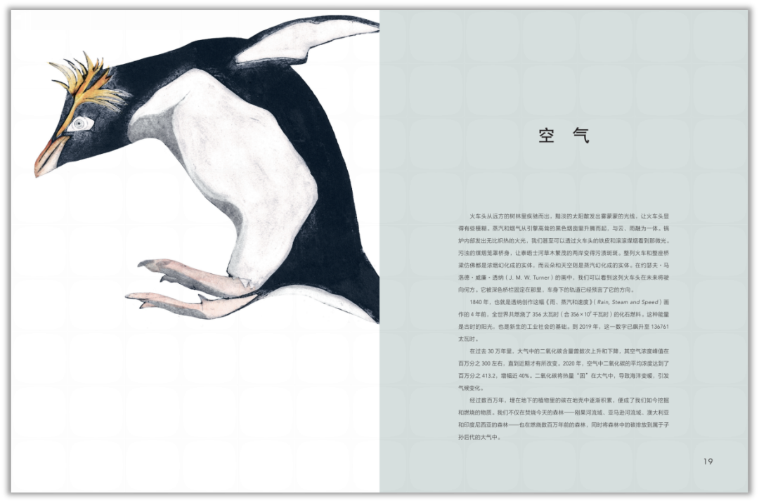 生物世界指什么动物_生物的世界_生物重现世间