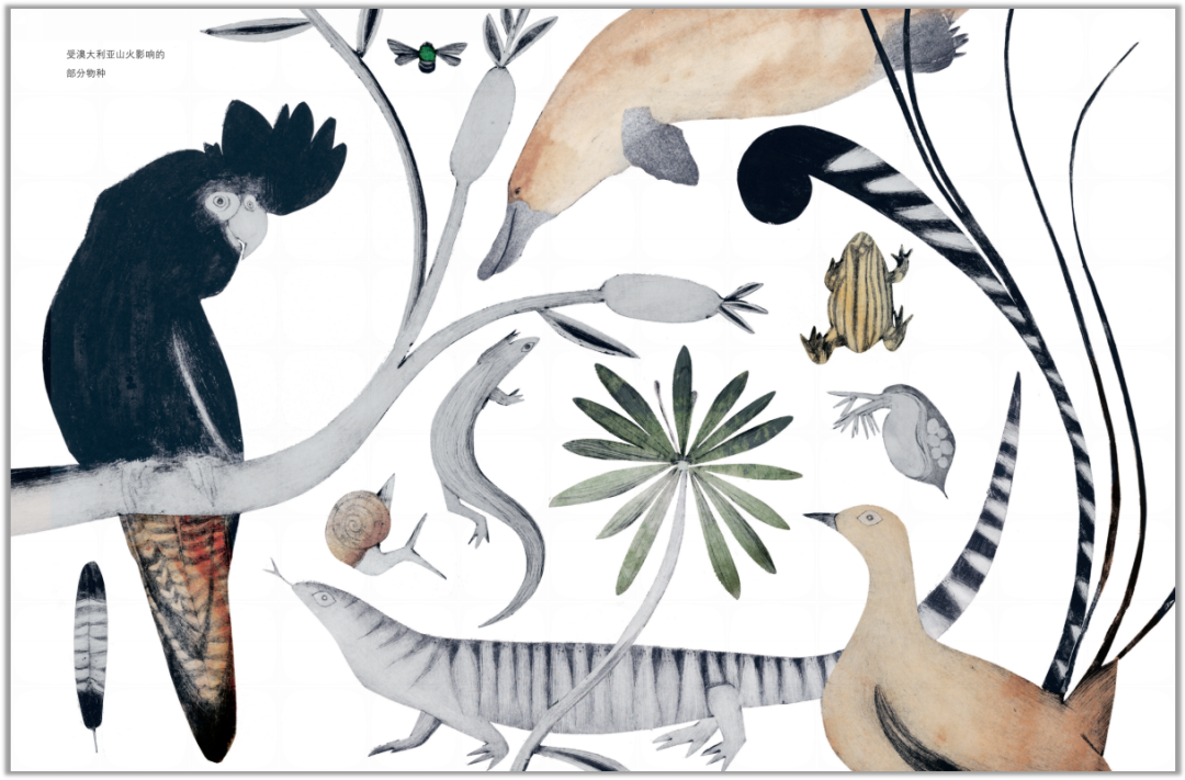 生物世界指什么动物_生物的世界_生物重现世间