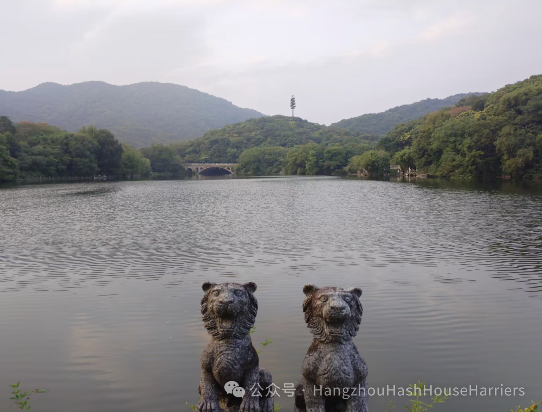 HZH3 #305: A.N.A.L.’s got the biggest...fake tree in Hangzhou
