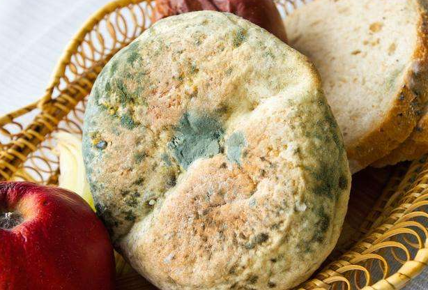 黄曲霉素,潜藏在健康周围的危险分子,可不是"有点毒".