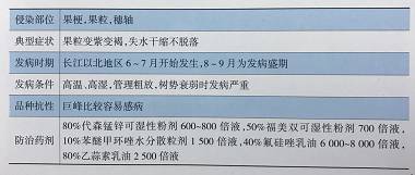 640?wx_fmt=png&tp=webp&wxfrom=5&wx_lazy=1