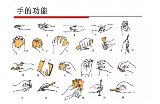 什么是ot训练【儿童健康】OT训练——儿童潜能开发，从手部开始_https://www.jmylbn.com_新闻资讯_第1张