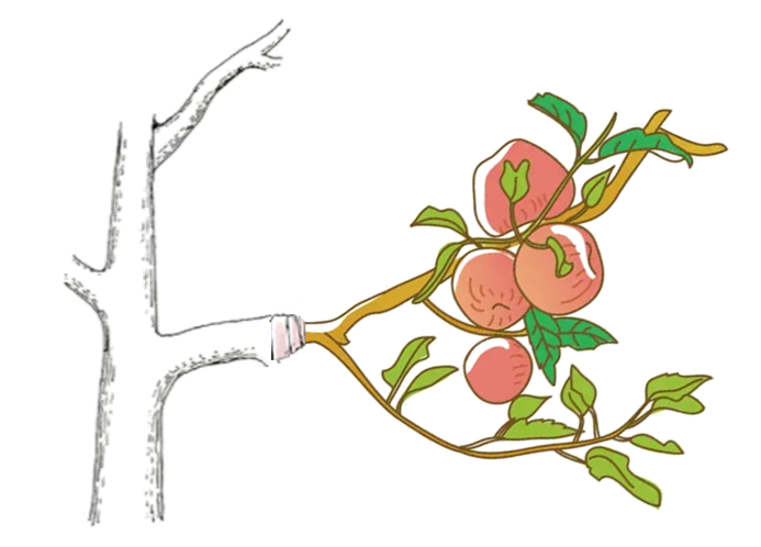 联手清华研发抗病毒面料，“童装黑科技”落地，安奈儿即将开启新十年