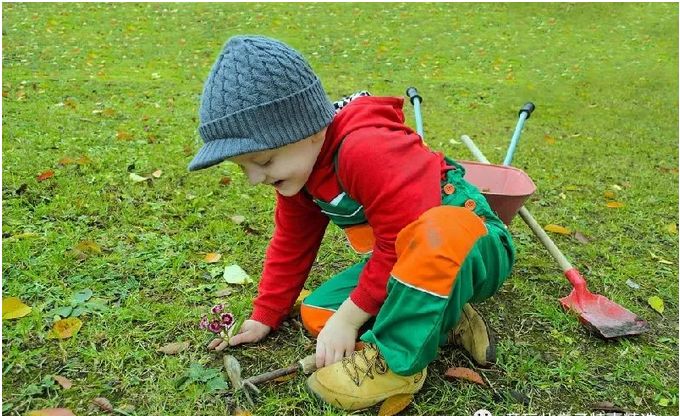 草莓一年结几次果_草莓结小果_草莓结果子的图片