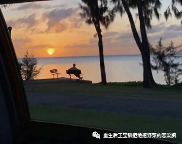 看淡一切无欲无求的说说 对生活无欲无求的短句
