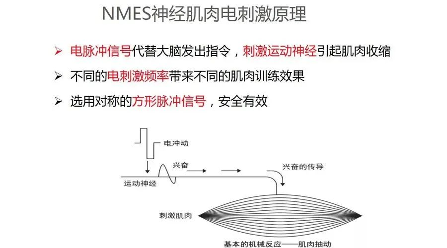 康什么治疗仪康复届的“神器”——Compex到底是什么？_https://www.jmylbn.com_新闻资讯_第5张
