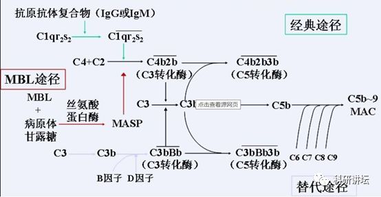 搞事情 Nature揭示真菌竟然会促进胰腺癌的发生 科研讲坛 微信公众号文章阅读 Wemp