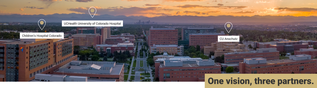 医学上ipc是什么米国静脉论坛上肢深静脉血栓临床指南与深度解析_https://www.jmylbn.com_新闻资讯_第10张