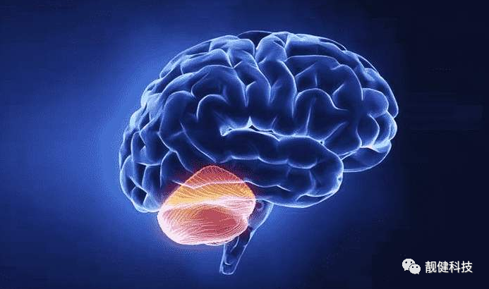 HGH让你的大脑年轻态