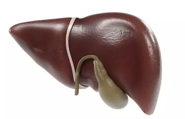 胆囊发炎，吃什么消炎药好？分急性和慢性，用药都不同