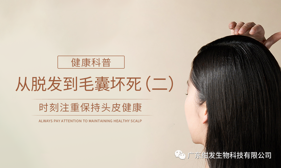 健康科普从脱发到毛囊坏死，你不得不了解的毛囊知识！（二）