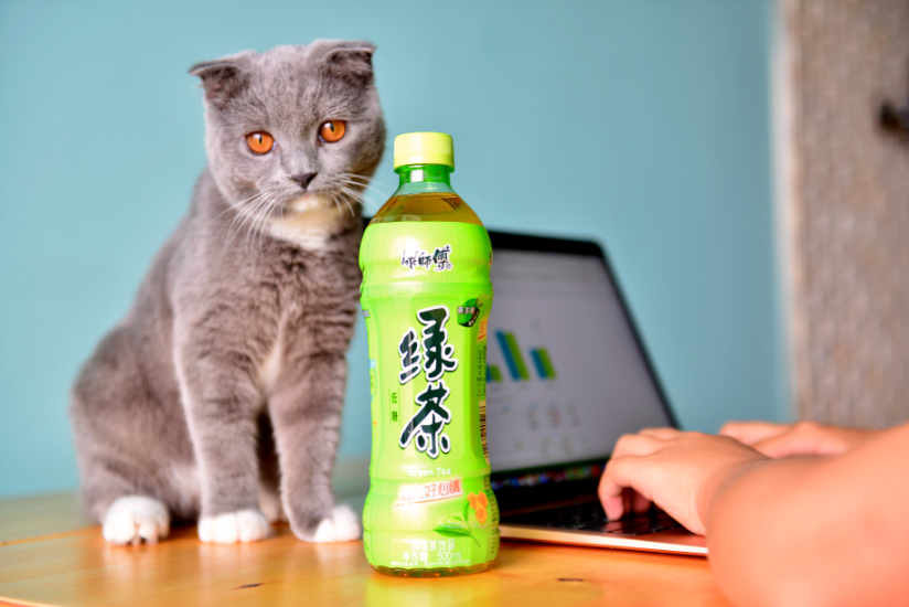 �����˷����˵Ľ����һ��������쪣�