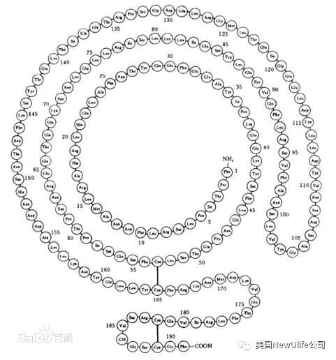 美国最新黑科技Somaderm HGH凝胶最全面介绍