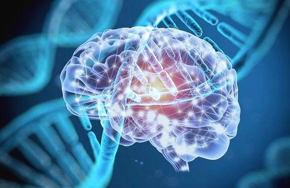 同型半氨酸怎么化验认识同型半胱氨酸（Hcy）！_https://www.jmylbn.com_新闻资讯_第3张