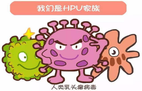 约苗上的九价是真的吗_苗价格批发_苗价是什么意思