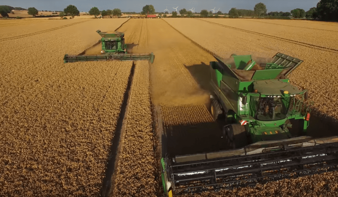 欧洲小麦价格创新高！乌克兰2500万吨粮被堵，加拿大：愿出船运输_全世界_出口_俄罗斯