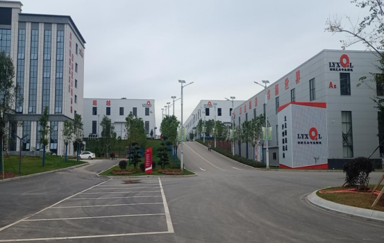 技术改造典型案例⑤——洛阳新强联回转支承股份有限