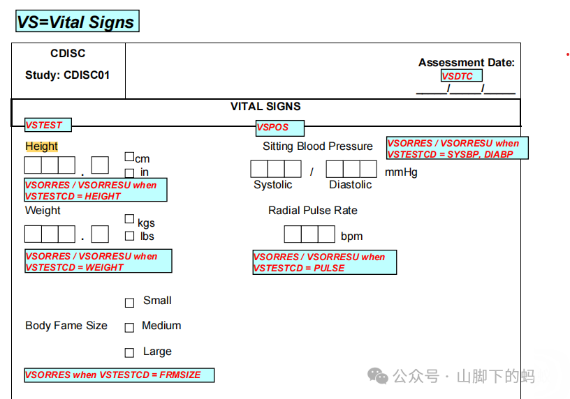 山腳下的螞蟻：SAS程式設計製作TFL
