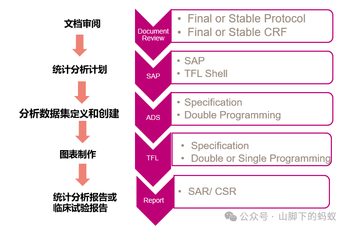 山腳下的螞蟻：統計分析流程