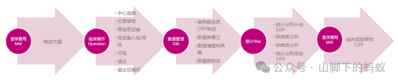 山腳下的螞蟻：統計分析流程