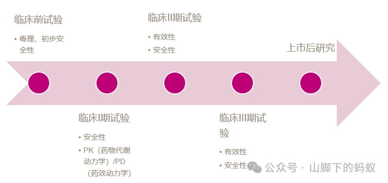 山腳下的螞蟻：統計分析流程